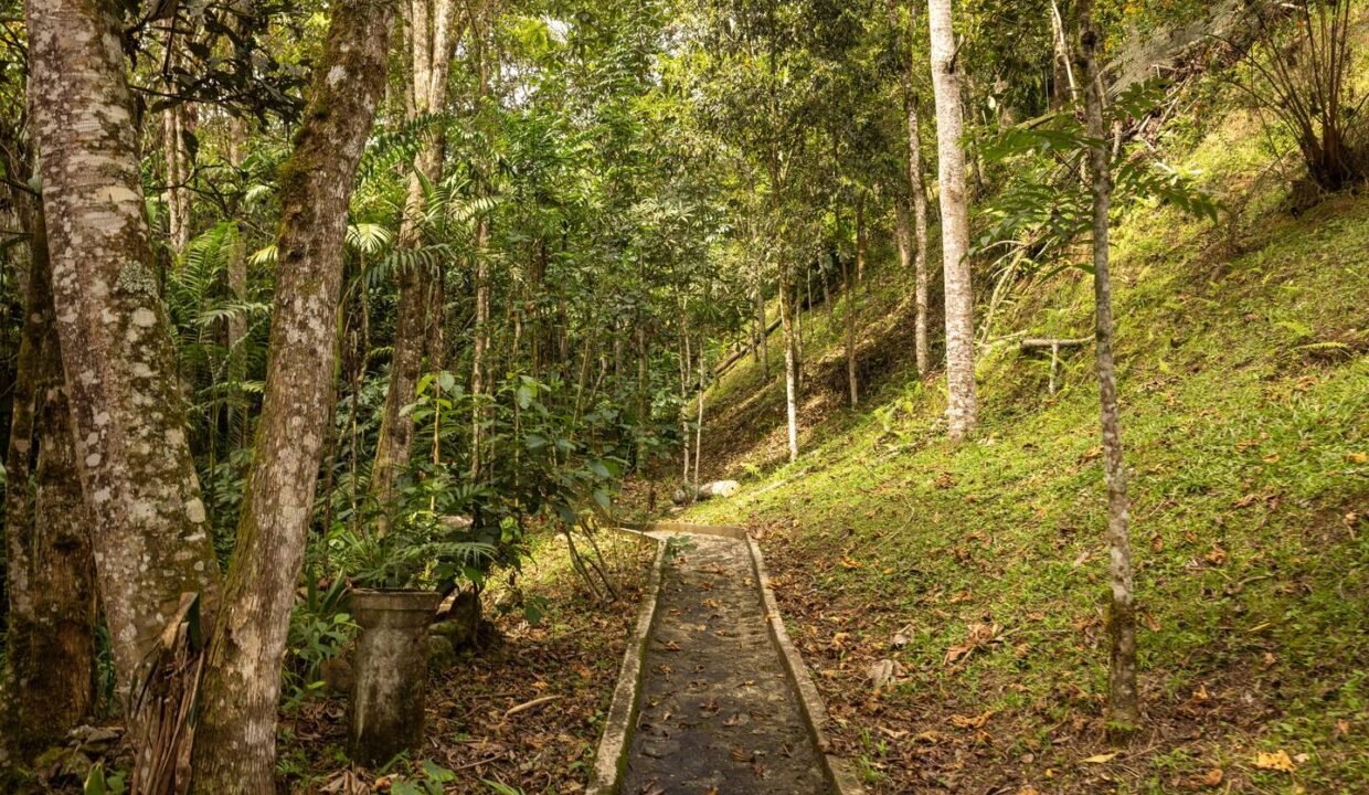 Finca en El Retiro (1)