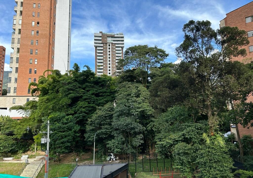 WhatsApp Image 2023-08-11 at 4.34.38 PM (2)