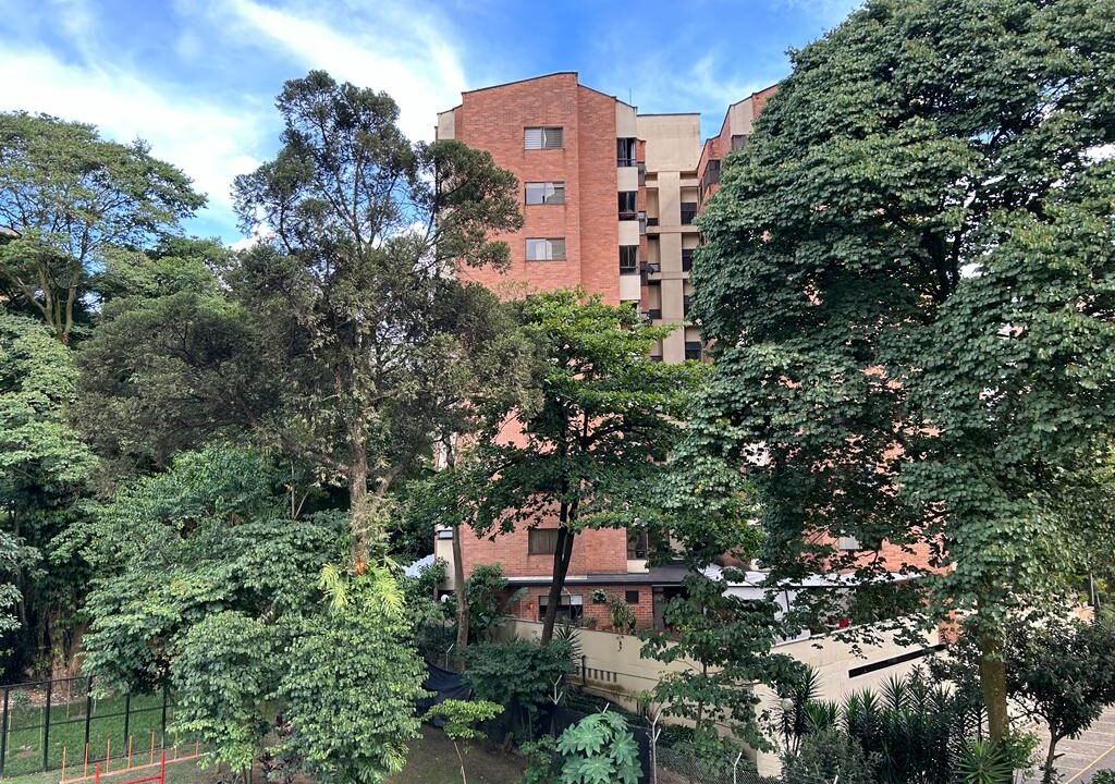 WhatsApp Image 2023-08-11 at 4.34.38 PM (3)