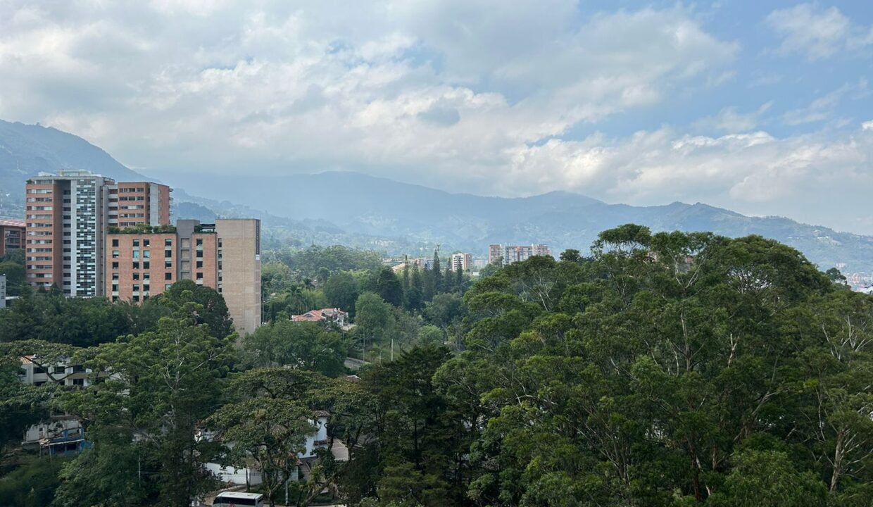 WhatsApp Image 2024-04-01 at 2.45.55 PM